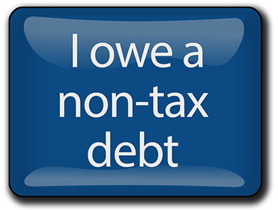 I owe a non-tax debt button