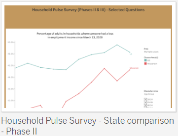 /InteractiveDataThumbnails/Household-Pulse-Survey-II.png